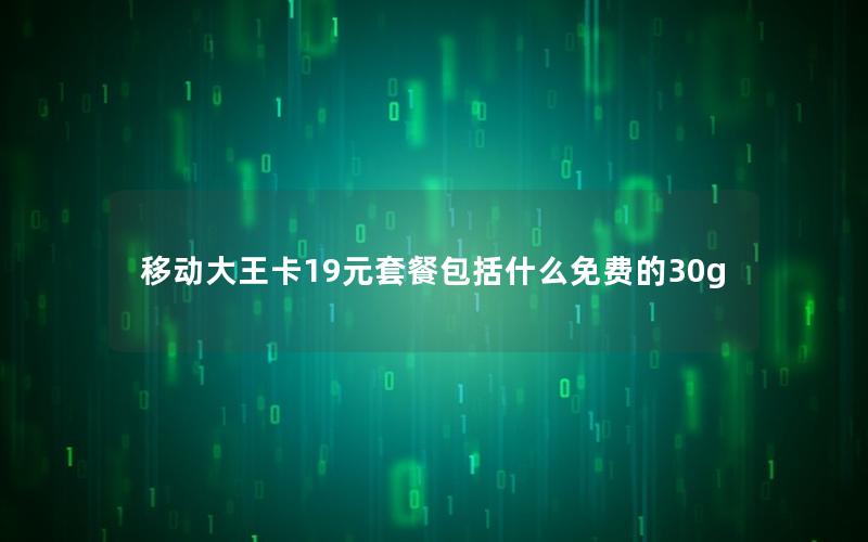 移动大王卡19元套餐包括什么免费的30g