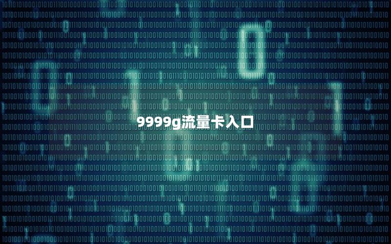 9999g流量卡入口