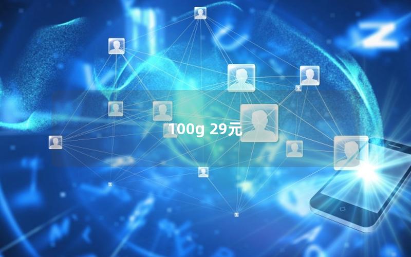 100g 29元