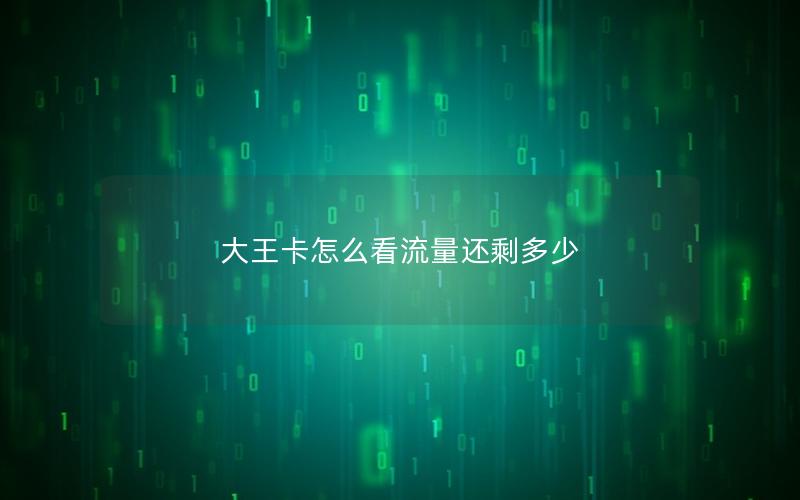 大王卡怎么看流量还剩多少