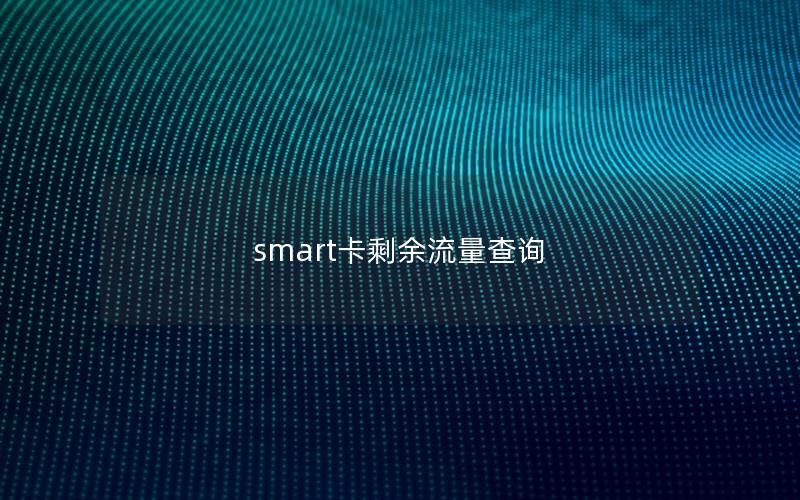smart卡剩余流量查询