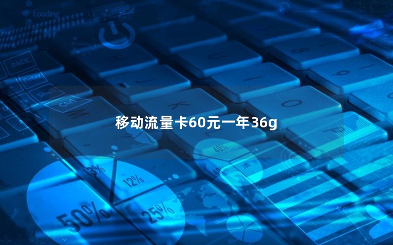 移动流量卡60元一年36g