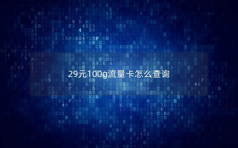 29元100g流量卡怎么查询