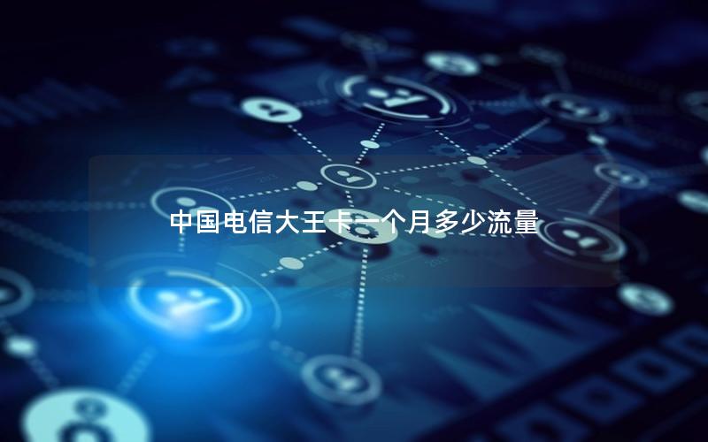 中国电信大王卡一个月多少流量