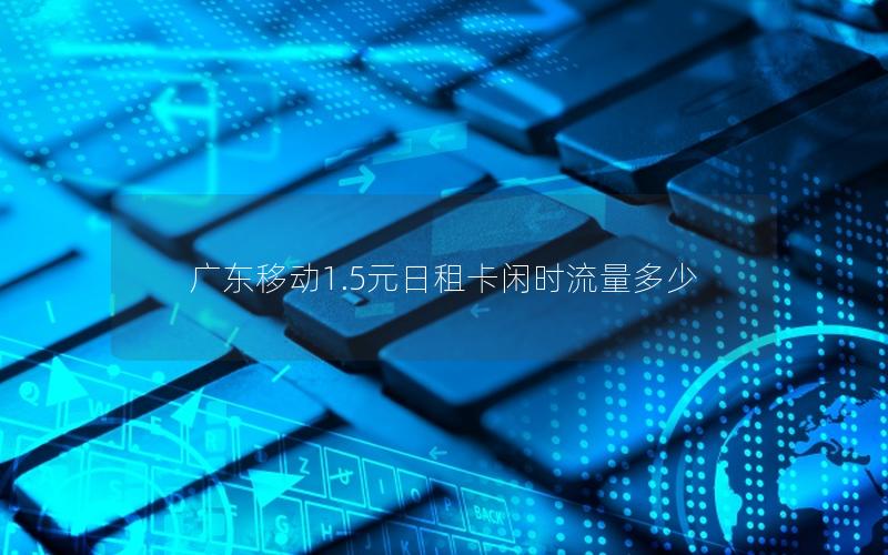 广东移动1.5元日租卡闲时流量多少