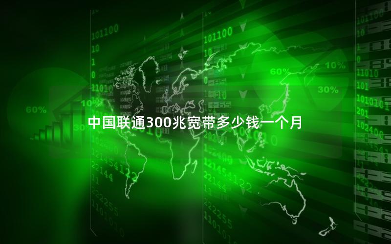 中国联通300兆宽带多少钱一个月