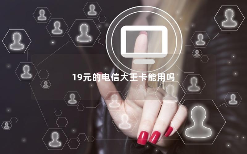 19元的电信大王卡能用吗