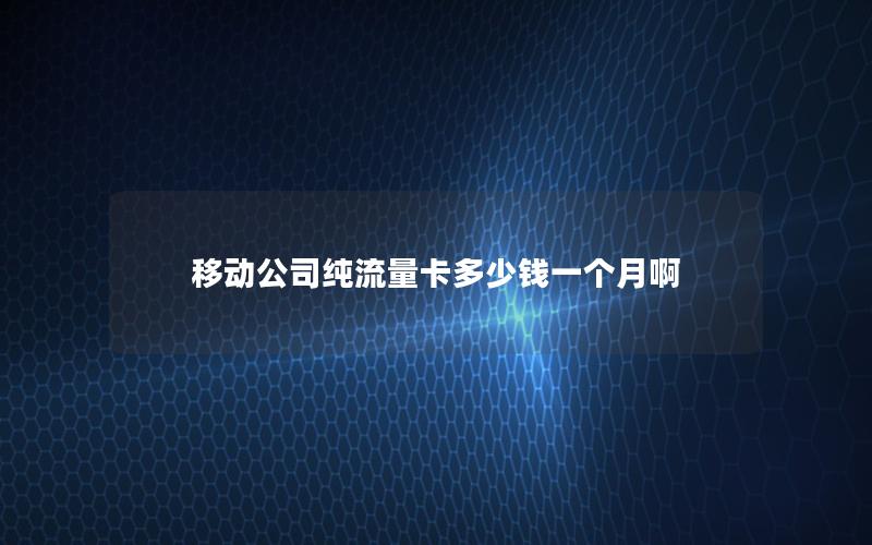 移动公司纯流量卡多少钱一个月啊
