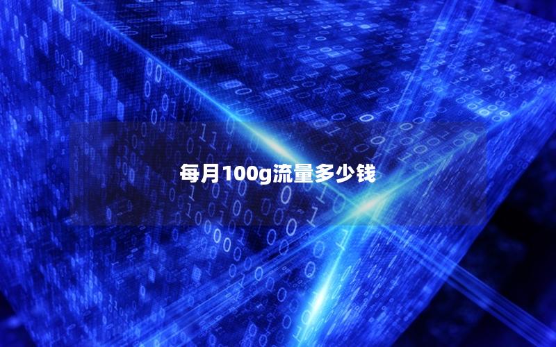 每月100g流量多少钱