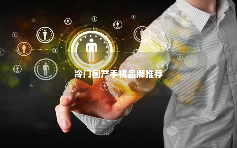 冷门国产手机品牌推荐