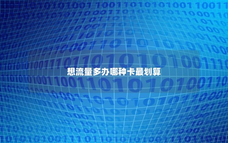 想流量多办哪种卡最划算