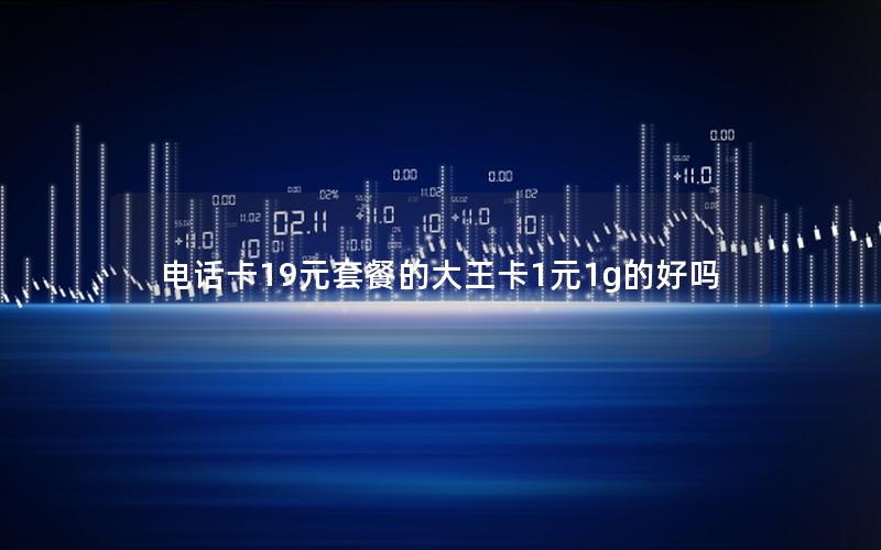 电话卡19元套餐的大王卡1元1g的好吗