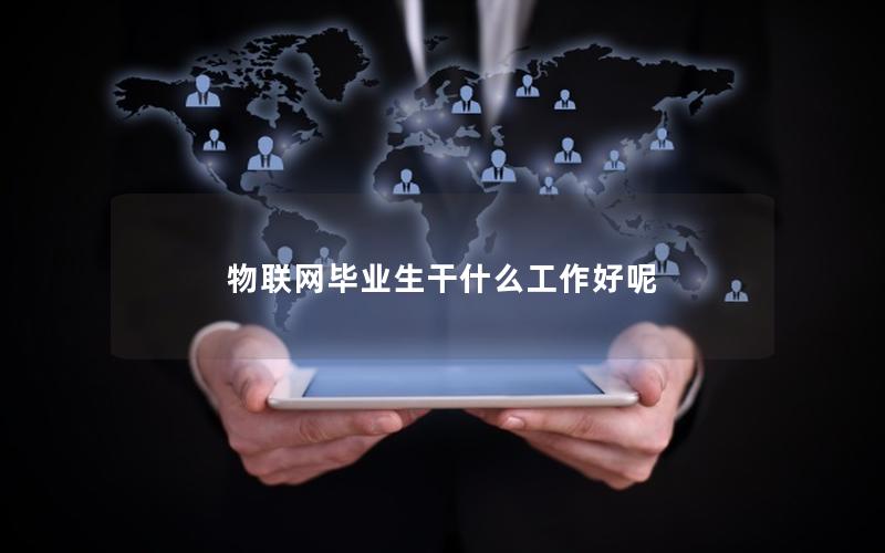物联网毕业生干什么工作好呢