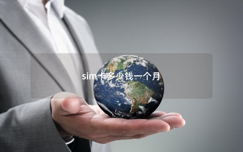 sim卡多少钱一个月