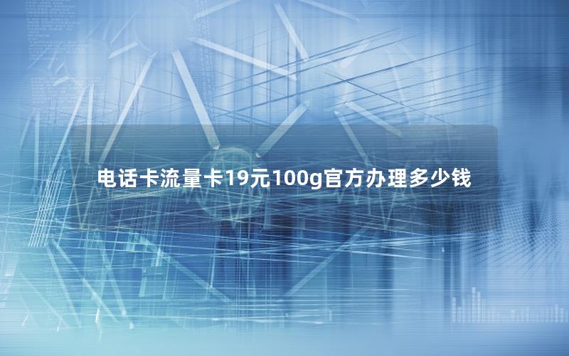 电话卡流量卡19元100g官方办理多少钱