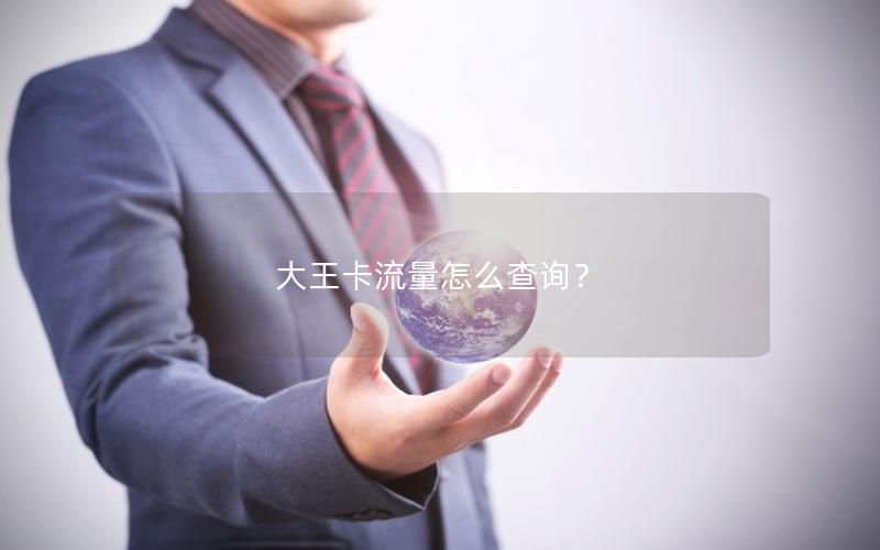 大王卡流量怎么查询？