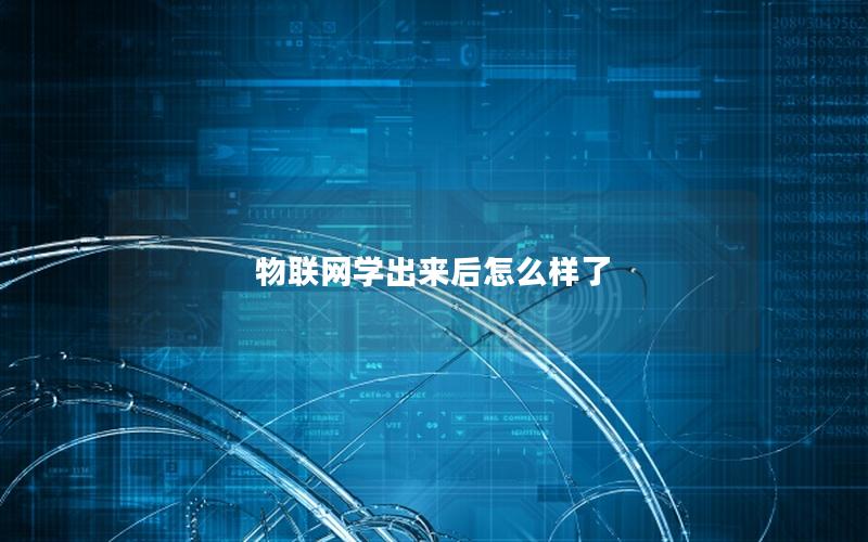 物联网学出来后怎么样了