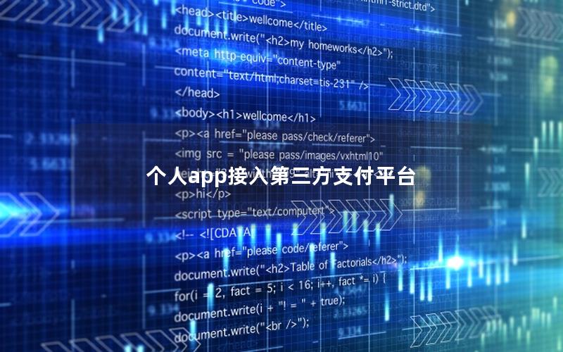 个人app接入第三方支付平台