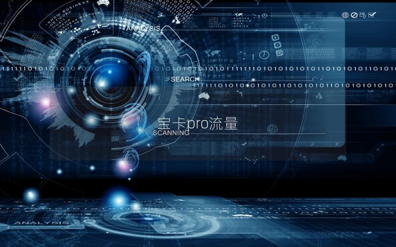 宝卡pro流量