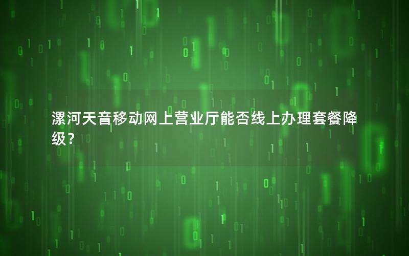 漯河天音移动网上营业厅能否线上办理套餐降级？