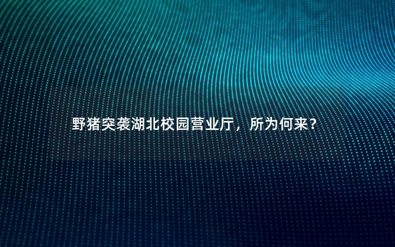 野猪突袭湖北校园营业厅，所为何来？