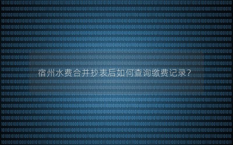 宿州水费合并抄表后如何查询缴费记录？