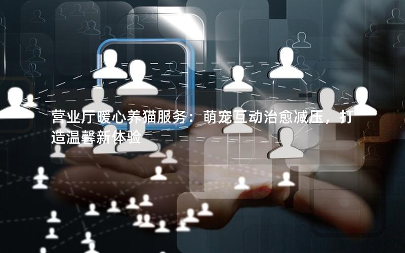 营业厅暖心养猫服务：萌宠互动治愈减压，打造温馨新体验