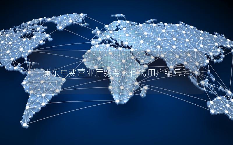浦东电费营业厅缴费为何需用户编号？