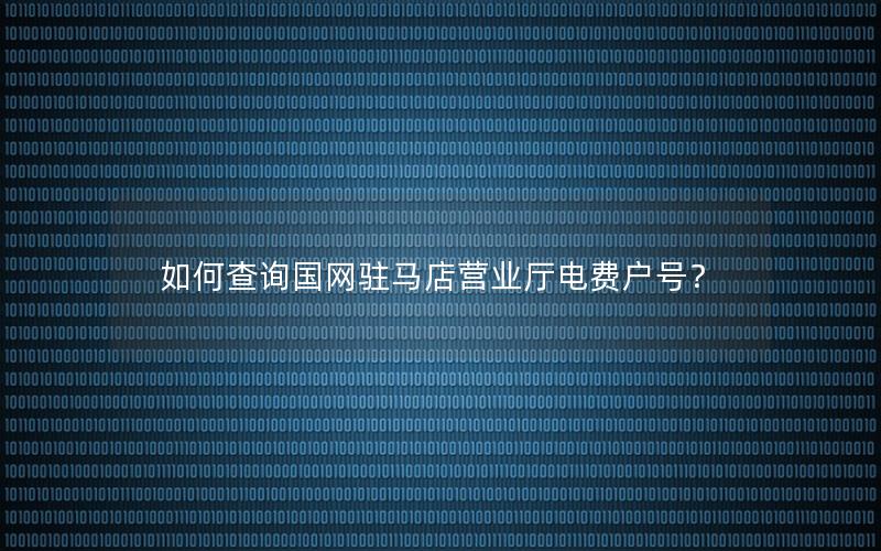 如何查询国网驻马店营业厅电费户号？