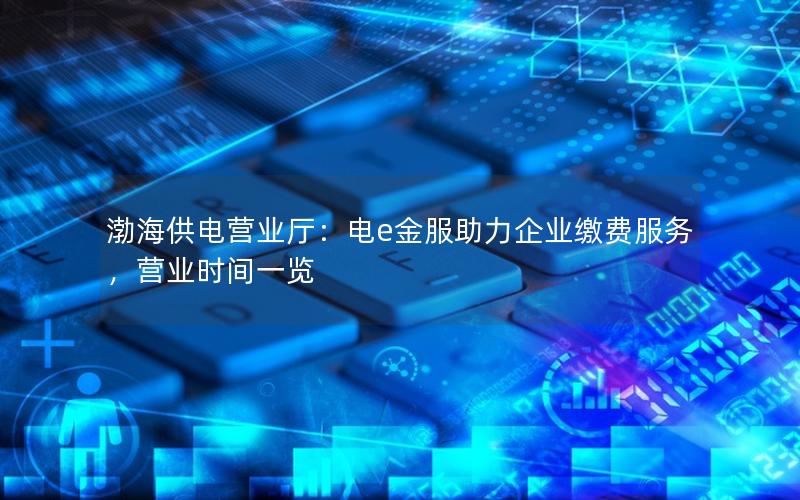 渤海供电营业厅：电e金服助力企业缴费服务，营业时间一览