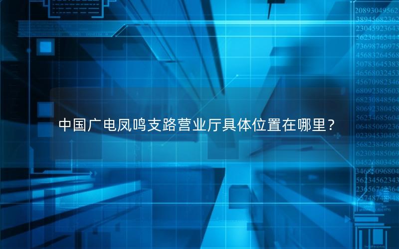 中国广电凤鸣支路营业厅具体位置在哪里？