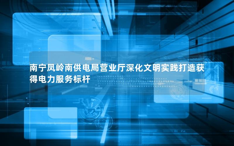 南宁凤岭南供电局营业厅深化文明实践打造获得电力服务标杆