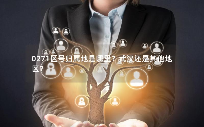 0271区号归属地是哪里？武汉还是其他地区？