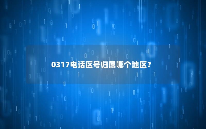 0317电话区号归属哪个地区？