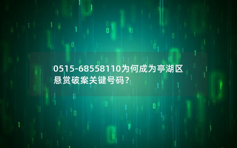 0515-68558110为何成为亭湖区悬赏破案关键号码？