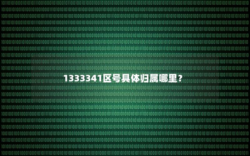 1333341区号具体归属哪里？