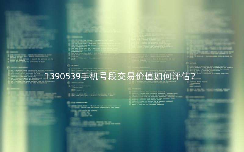 1390539手机号段交易价值如何评估？