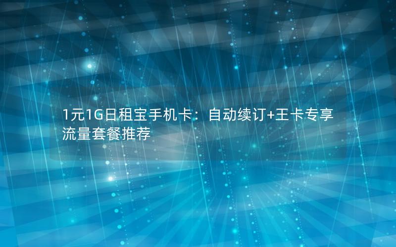 1元1G日租宝手机卡：自动续订+王卡专享流量套餐推荐