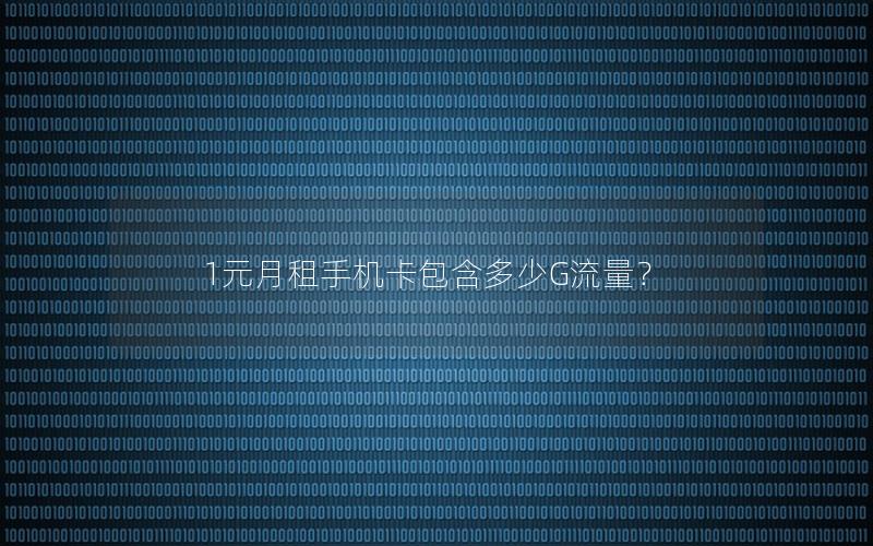 1元月租手机卡包含多少G流量？