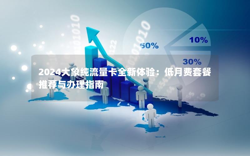 2024大象纯流量卡全新体验：低月费套餐推荐与办理指南