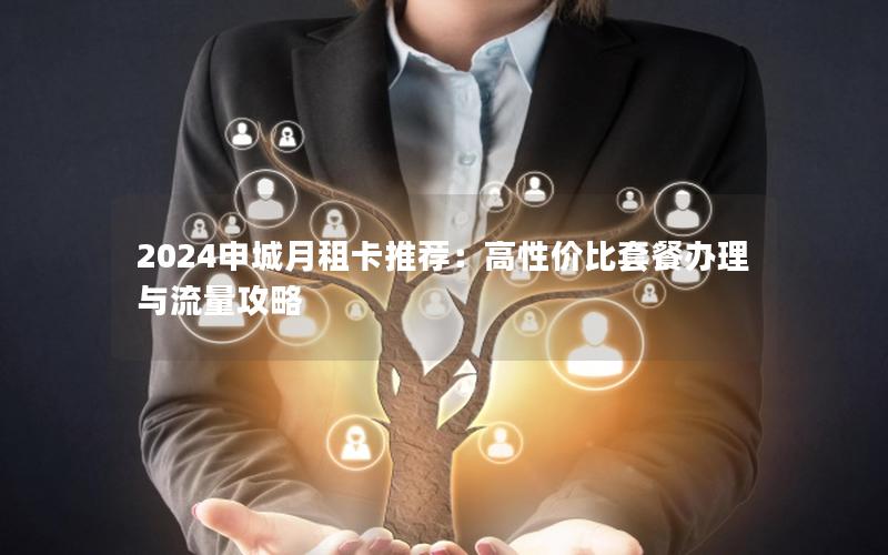 2024申城月租卡推荐：高性价比套餐办理与流量攻略