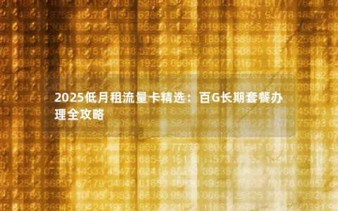 2025低月租流量卡精选：百G长期套餐办理全攻略