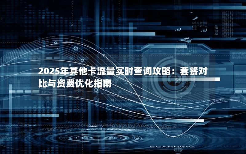 2025年其他卡流量实时查询攻略：套餐对比与资费优化指南
