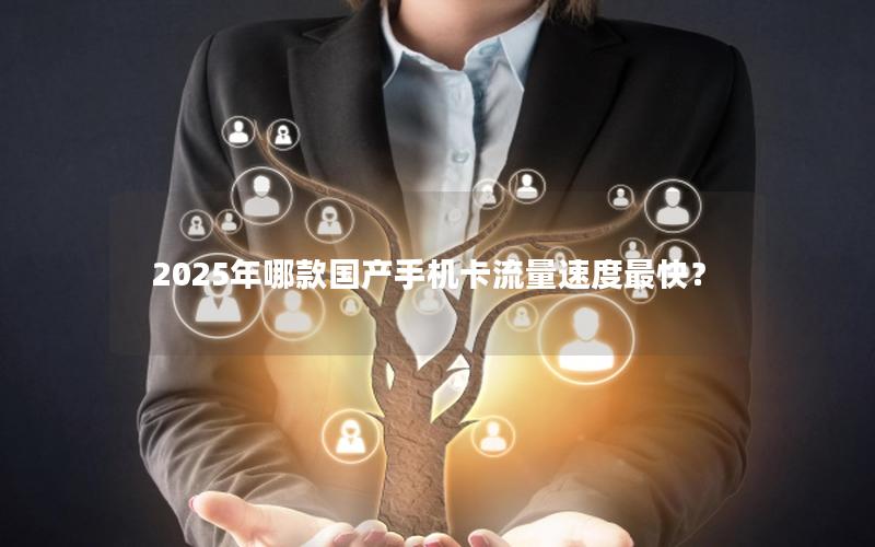 2025年哪款国产手机卡流量速度最快？