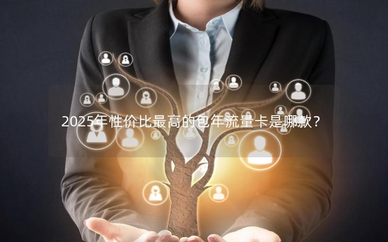 2025年性价比最高的包年流量卡是哪款？