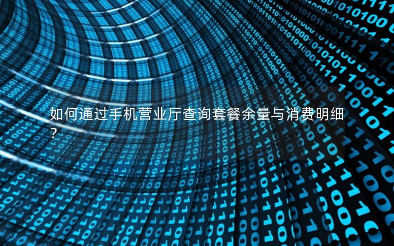 如何通过手机营业厅查询套餐余量与消费明细？