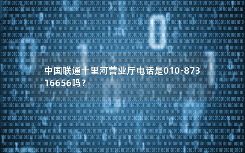 中国联通十里河营业厅电话是010-87316656吗？