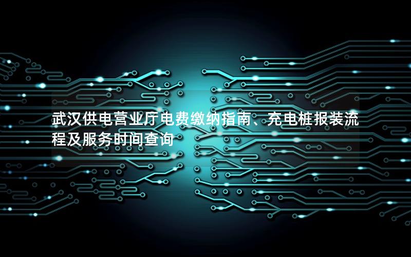 武汉供电营业厅电费缴纳指南、充电桩报装流程及服务时间查询