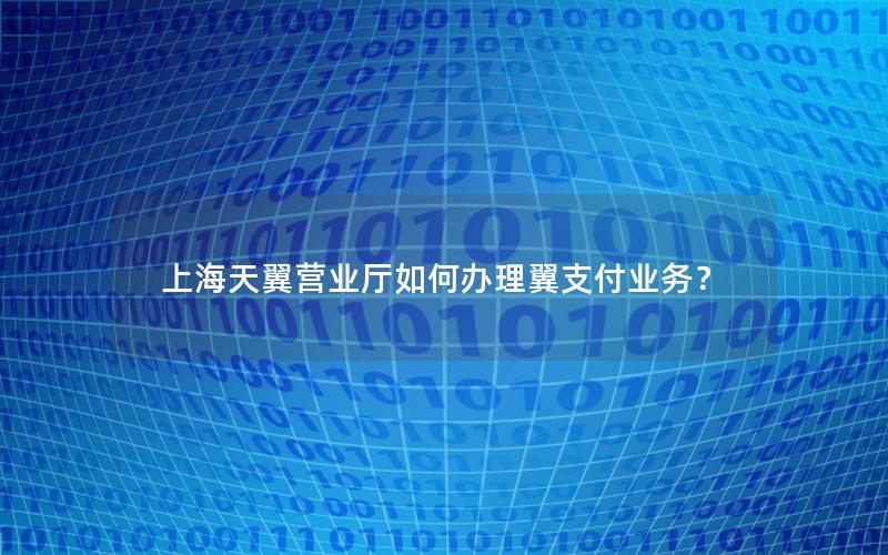 上海天翼营业厅如何办理翼支付业务？