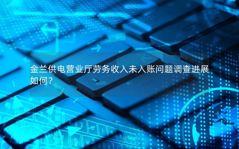 金兰供电营业厅劳务收入未入账问题调查进展如何？